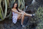  Angely Grace - Cacti (x83)