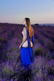  Hailey - Lavender Love (x120)