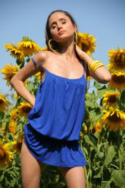 Anna - Sunflowers (x109)