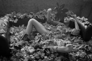 Joy Lamore - Autumn Dreams - x32 - March 19 202...27rfdfmbd6.jpg