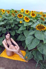 Vanessa-SHY FLOWER (x161)